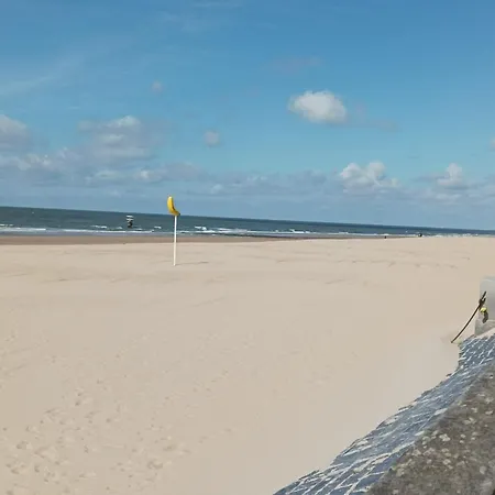Apartment Frontaal Zeezicht In De Strandjutter *