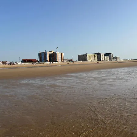 Apartment Frontaal Zeezicht In De Strandjutter *