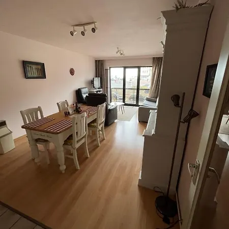 Frontaal Zeezicht In De Strandjutter Apartment *